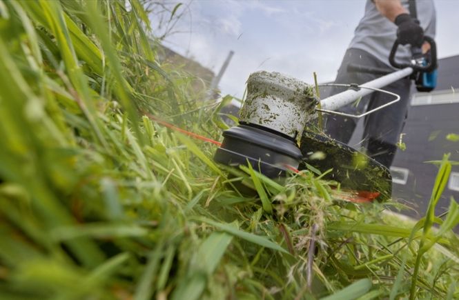Hovedbilde Bosch Gresstrimmer GRT 18V-33 33Cm Solo