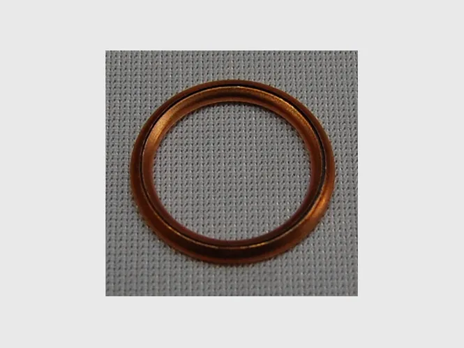 Hovedbilde KOBBERSKIVE M/INNLEGG 6X10 25stk 03202-25