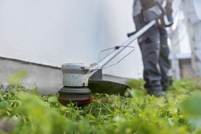 Hovedbilde Bosch Gresstrimmer GRT 18V-33 33Cm Solo